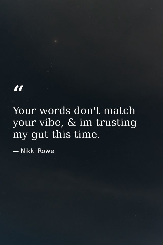 Your words don't match your vibe, & im trusting my gut this time. — Nikki Rowe