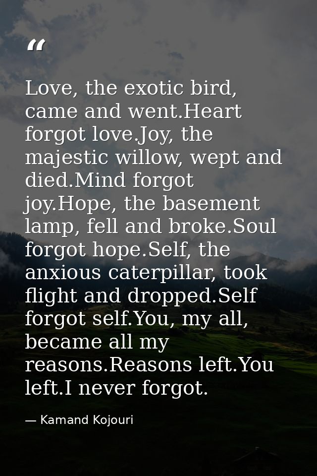 Love, the exotic bird, came and went.Heart forgot love.Joy, the majestic willow, wept and died.Mind forgot joy.Hope, the — Kamand Kojouri
