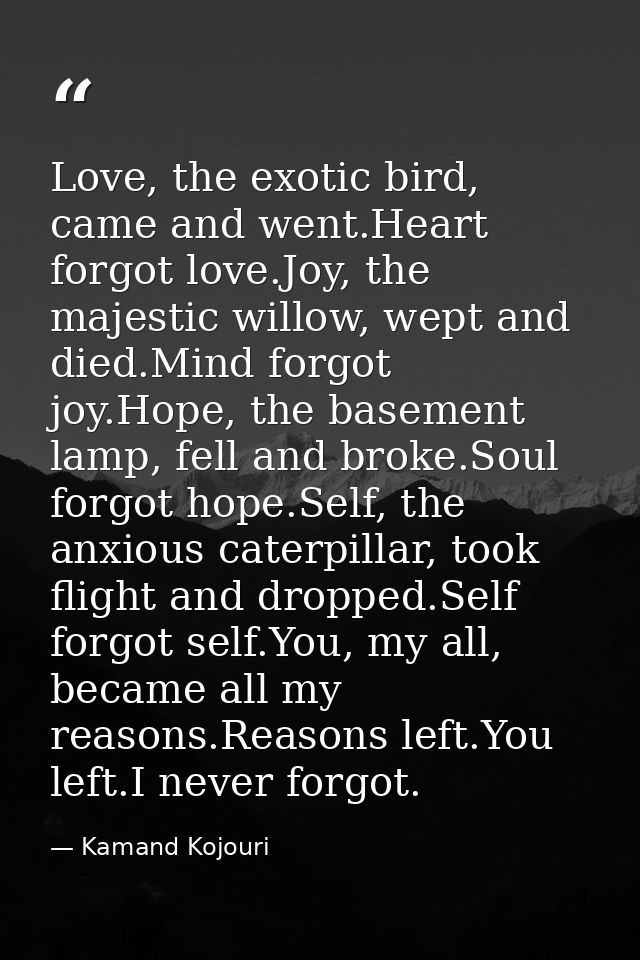 Love, the exotic bird, came and went.Heart forgot love.Joy, the majestic willow, wept and died.Mind forgot joy.Hope, the — Kamand Kojouri