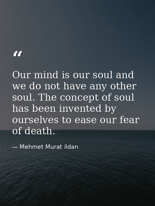 Our mind is our soul and we do not have any other soul. The concept of soul has been invented by ourselves to ease our f — Mehmet Murat ildan