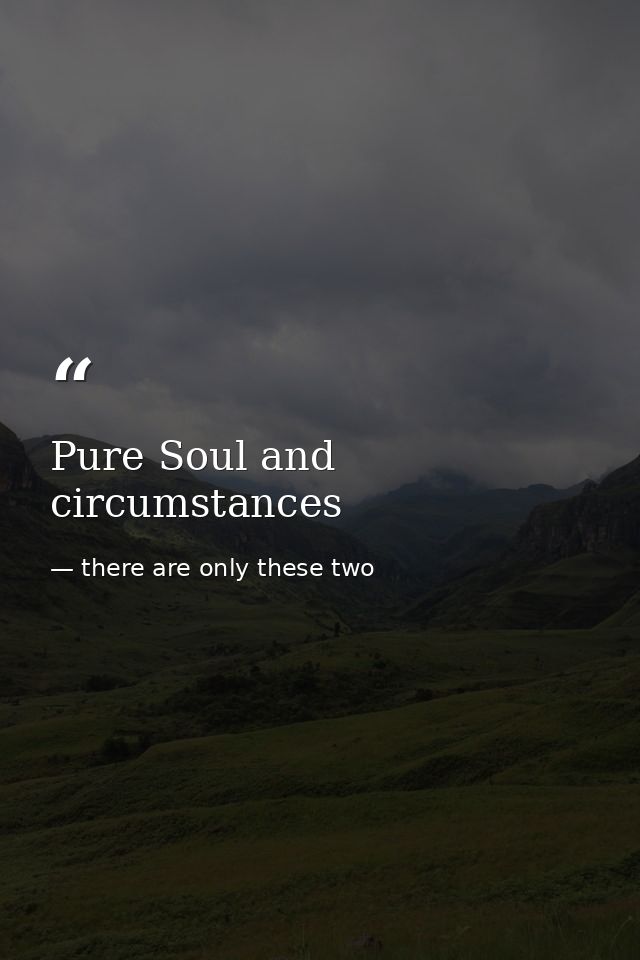 Pure Soul and circumstances — there are only these two
