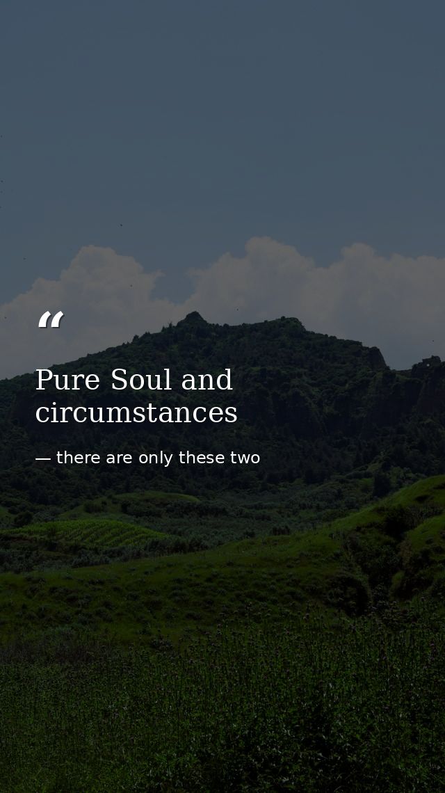 Pure Soul and circumstances — there are only these two