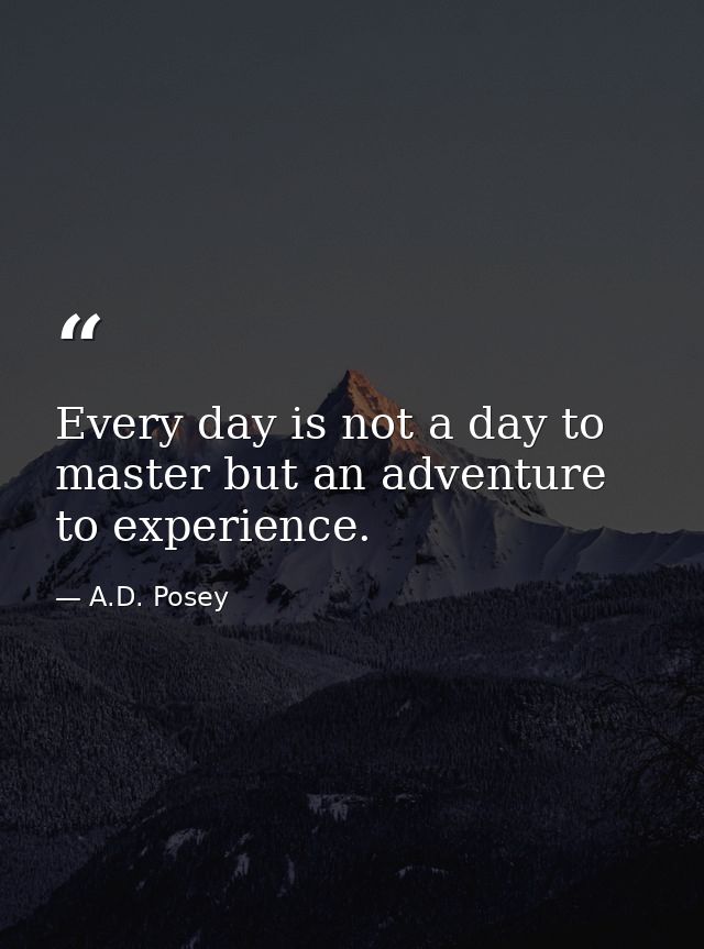 Every day is not a day to master but an adventure to experience. — A.D. Posey