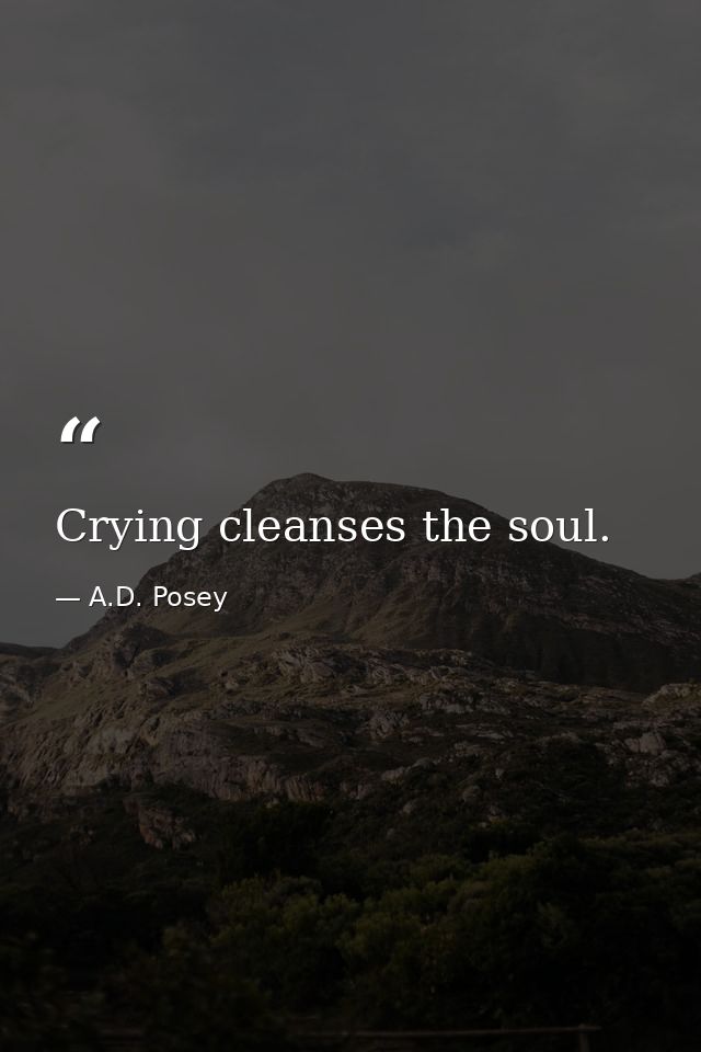 Crying cleanses the soul. — A.D. Posey