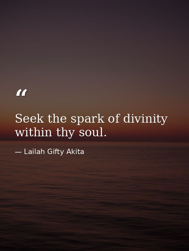 Seek the spark of divinity within thy soul. — Lailah Gifty Akita