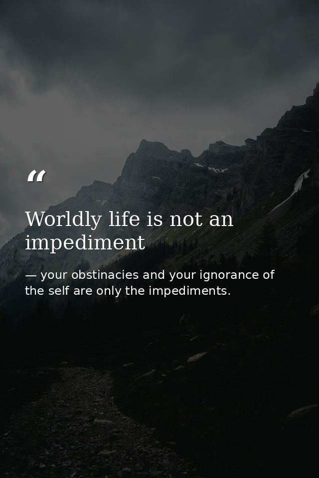 Worldly life is not an impediment — your obstinacies and your ignorance of the self are only the impediments.