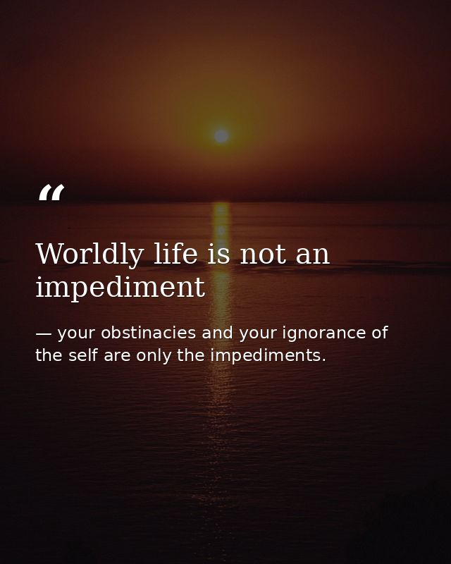 Worldly life is not an impediment — your obstinacies and your ignorance of the self are only the impediments.