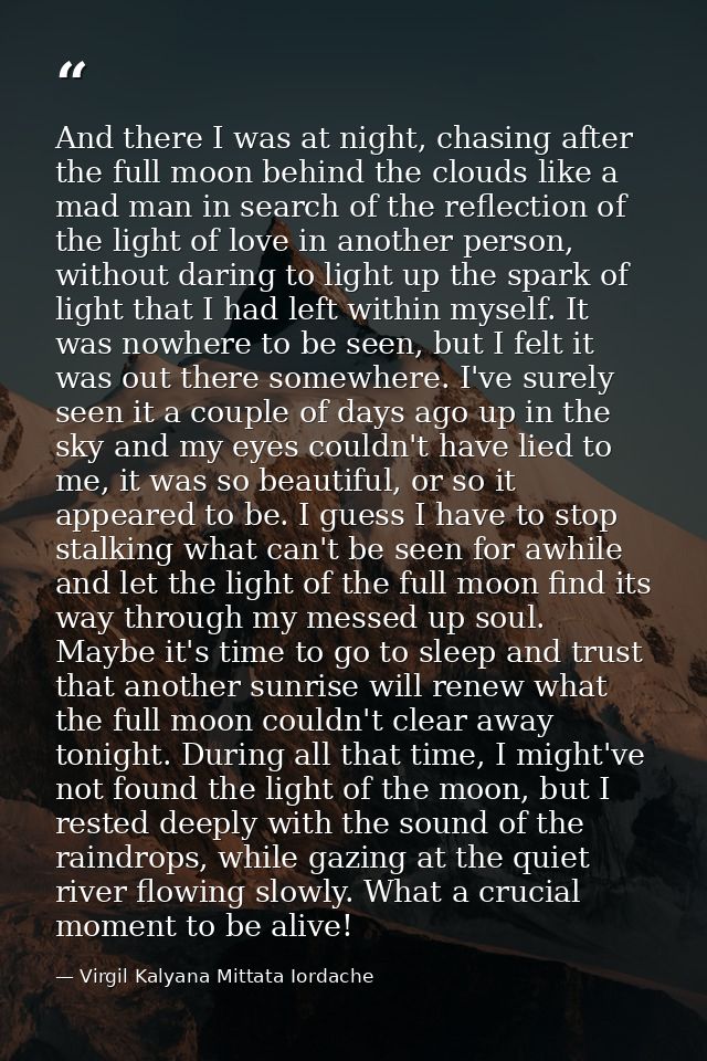 And there I was at night, chasing after the full moon behind the clouds like a mad man in search of the reflection of th — Virgil Kalyana Mittata Iordache