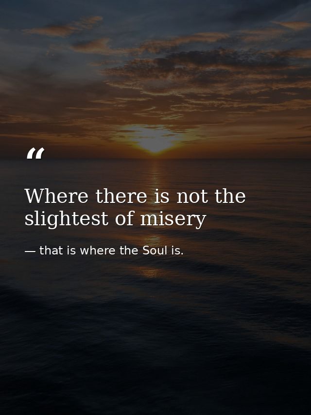 Where there is not the slightest of misery — that is where the Soul is.