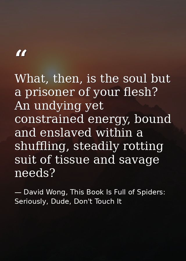 What, then, is the soul but a prisoner of your flesh? An undying yet constrained energy, bound and enslaved within a shu — David Wong, This Book Is Full of Spiders: Seriously, Dude, Don't Touch It