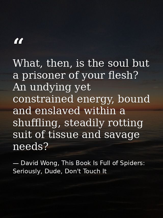 What, then, is the soul but a prisoner of your flesh? An undying yet constrained energy, bound and enslaved within a shu — David Wong, This Book Is Full of Spiders: Seriously, Dude, Don't Touch It