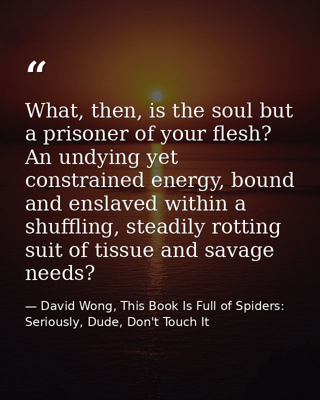 What, then, is the soul but a prisoner of your flesh? An undying yet constrained energy, bound and enslaved within a shu — David Wong, This Book Is Full of Spiders: Seriously, Dude, Don't Touch It
