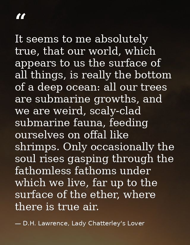 It seems to me absolutely true, that our world, which appears to us the surface of all things, is really the bottom of a — D.H. Lawrence, Lady Chatterley's Lover