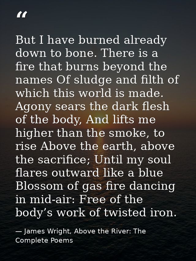 But I have burned already down to bone. There is a fire that burns beyond the names Of sludge and filth of which this wo — James Wright, Above the River: The Complete Poems