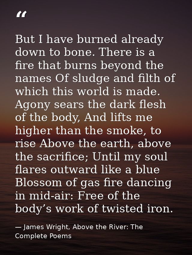 But I have burned already down to bone. There is a fire that burns beyond the names Of sludge and filth of which this wo — James Wright, Above the River: The Complete Poems