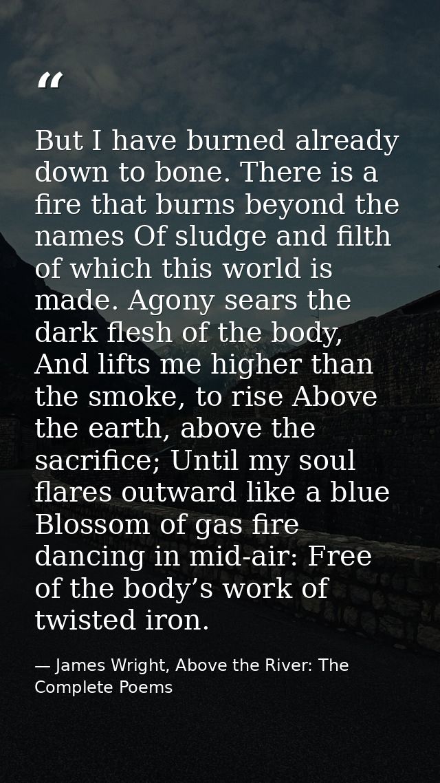 But I have burned already down to bone. There is a fire that burns beyond the names Of sludge and filth of which this wo — James Wright, Above the River: The Complete Poems
