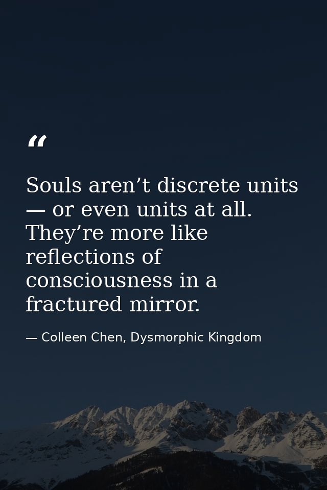 Souls aren’t discrete units — or even units at all. They’re more like reflections of consciousness in a fractured mirror — Colleen Chen, Dysmorphic Kingdom