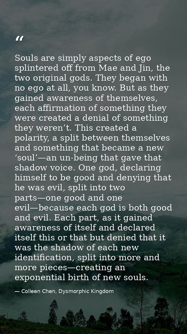 Souls are simply aspects of ego splintered off from Mae and Jin, the two original gods. They began with no ego at all, y — Colleen Chen, Dysmorphic Kingdom