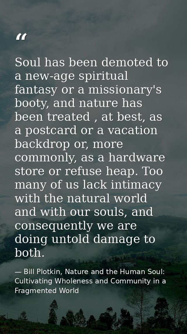 Soul has been demoted to a new-age spiritual fantasy or a missionary's booty, and nature has been treated , at best, as  — Bill Plotkin, Nature and the Human Soul: Cultivating Wholeness and Community in a Fragmented World