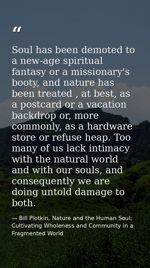 Soul has been demoted to a new-age spiritual fantasy or a missionary's booty, and nature has been treated , at best, as  — Bill Plotkin, Nature and the Human Soul: Cultivating Wholeness and Community in a Fragmented World