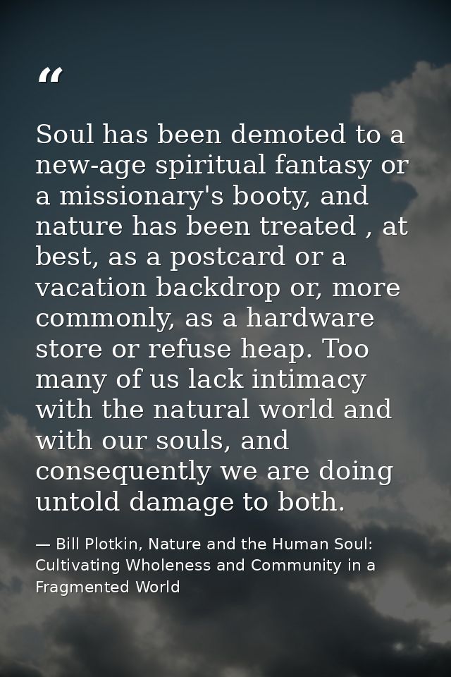 Soul has been demoted to a new-age spiritual fantasy or a missionary's booty, and nature has been treated , at best, as  — Bill Plotkin, Nature and the Human Soul: Cultivating Wholeness and Community in a Fragmented World