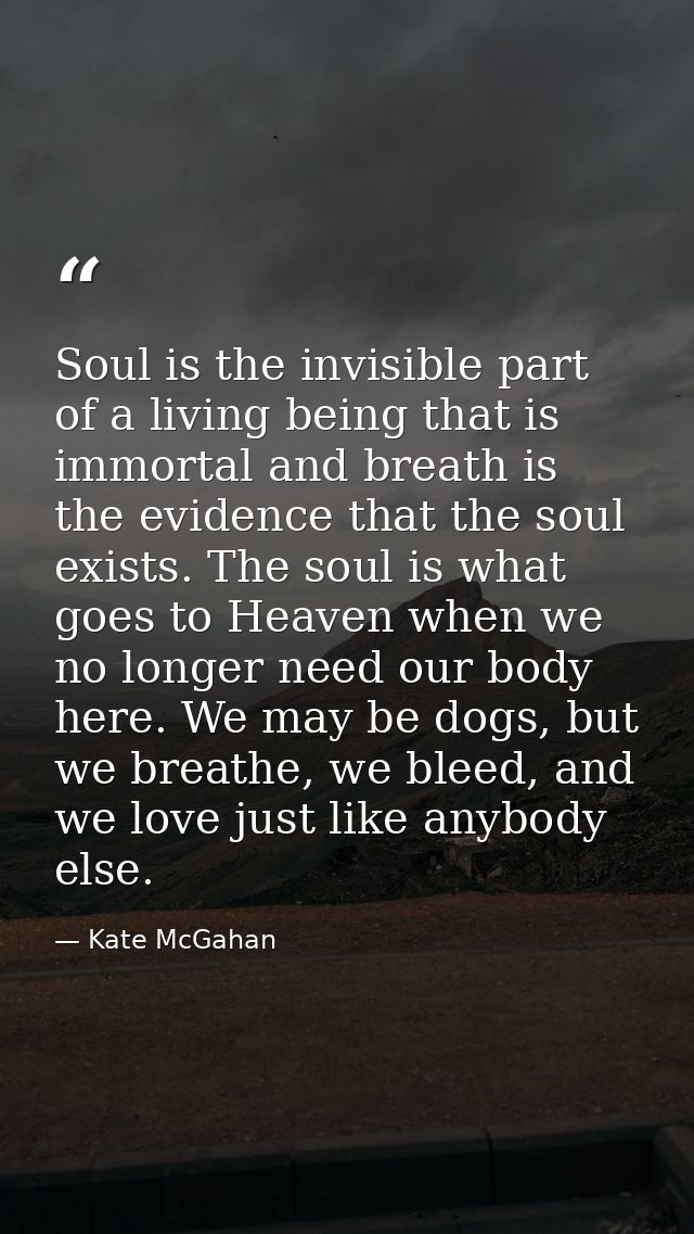 Soul is the invisible part of a living being that is immortal and breath is the evidence that the soul exists. The soul  — Kate McGahan