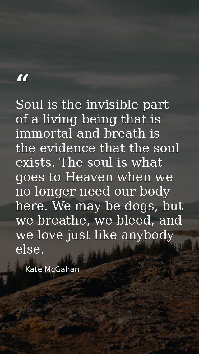 Soul is the invisible part of a living being that is immortal and breath is the evidence that the soul exists. The soul  — Kate McGahan