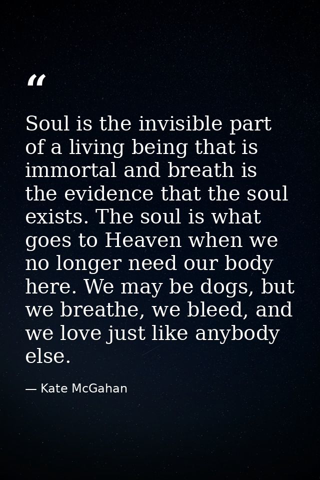 Soul is the invisible part of a living being that is immortal and breath is the evidence that the soul exists. The soul  — Kate McGahan