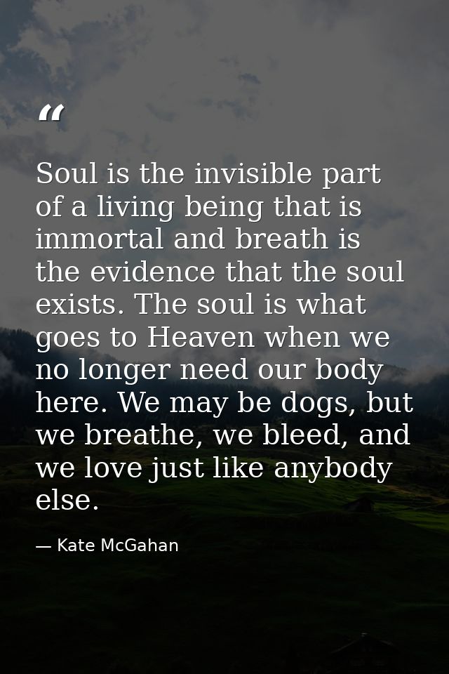 Soul is the invisible part of a living being that is immortal and breath is the evidence that the soul exists. The soul  — Kate McGahan