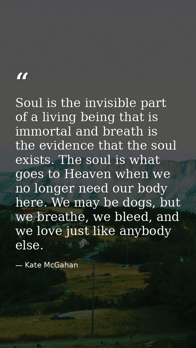 Soul is the invisible part of a living being that is immortal and breath is the evidence that the soul exists. The soul  — Kate McGahan
