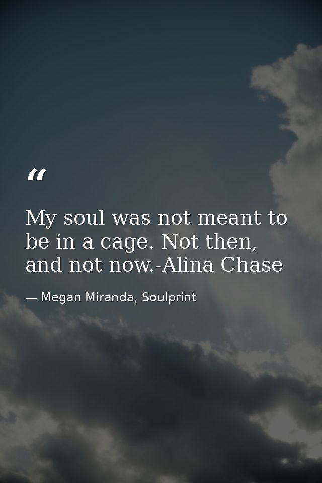 My soul was not meant to be in a cage. Not then, and not now.-Alina Chase — Megan Miranda, Soulprint