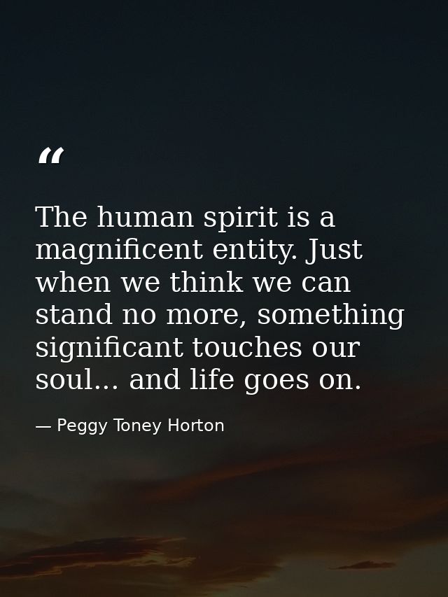 The human spirit is a magnificent entity. Just when we think we can stand no more, something significant touches our sou — Peggy Toney Horton