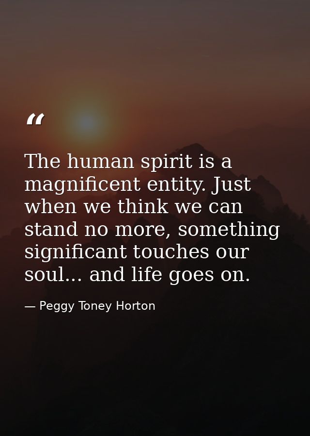 The human spirit is a magnificent entity. Just when we think we can stand no more, something significant touches our sou — Peggy Toney Horton