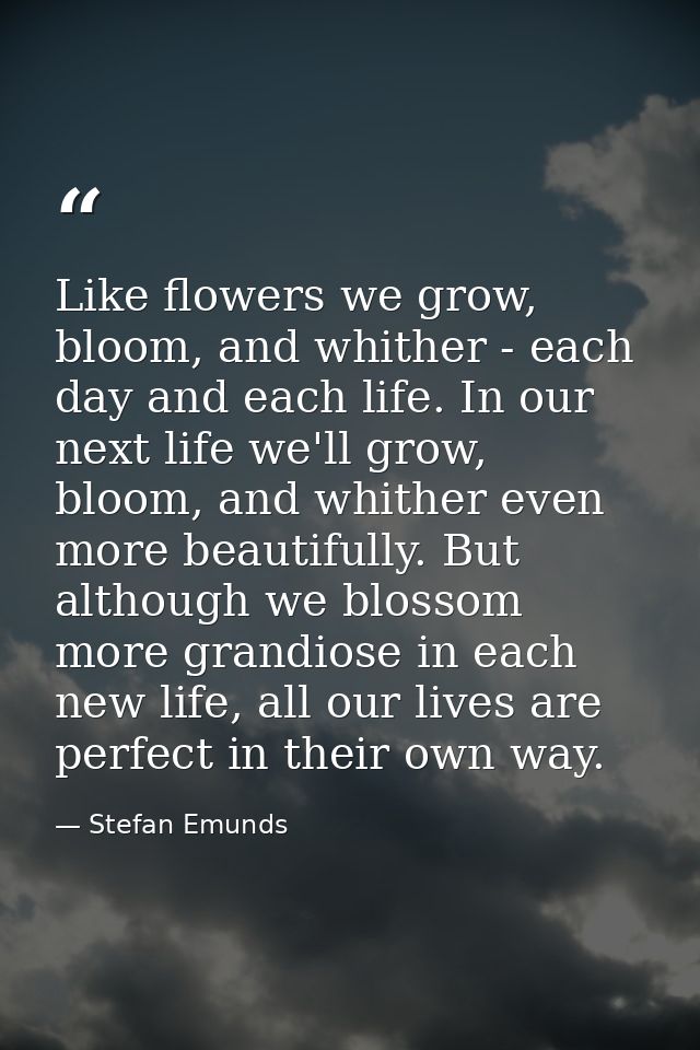 Like flowers we grow, bloom, and whither - each day and each life. In our next life we'll grow, bloom, and whither even  — Stefan Emunds