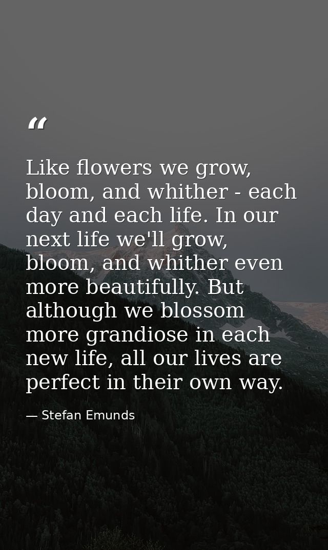 Like flowers we grow, bloom, and whither - each day and each life. In our next life we'll grow, bloom, and whither even  — Stefan Emunds