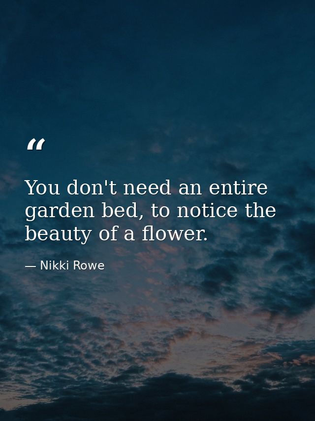 You don't need an entire garden bed, to notice the beauty of a flower. — Nikki Rowe