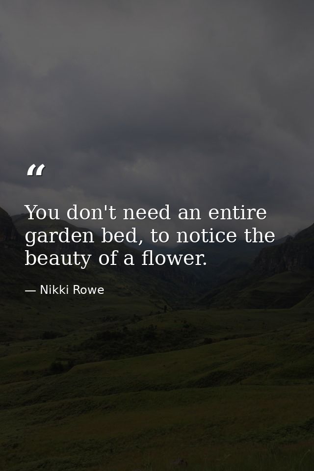 You don't need an entire garden bed, to notice the beauty of a flower. — Nikki Rowe