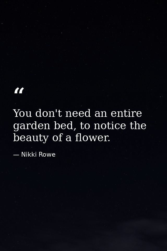 You don't need an entire garden bed, to notice the beauty of a flower. — Nikki Rowe