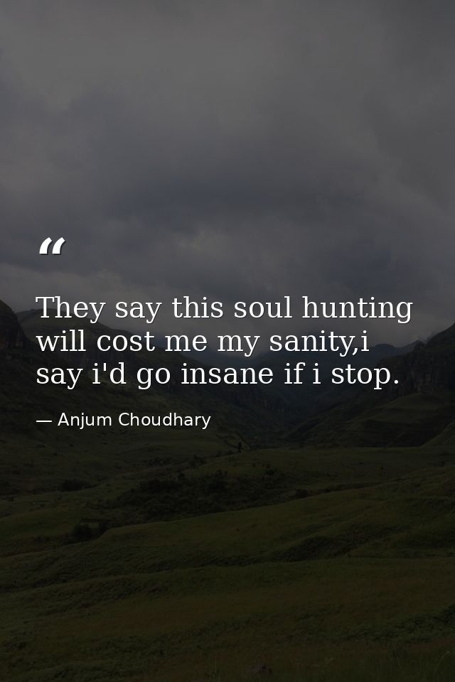 They say this soul hunting will cost me my sanity,i say i'd go insane if i stop. — Anjum Choudhary