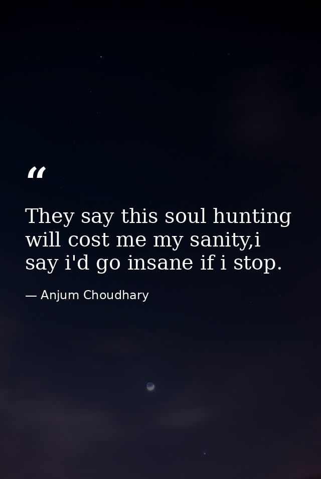 They say this soul hunting will cost me my sanity,i say i'd go insane if i stop. — Anjum Choudhary