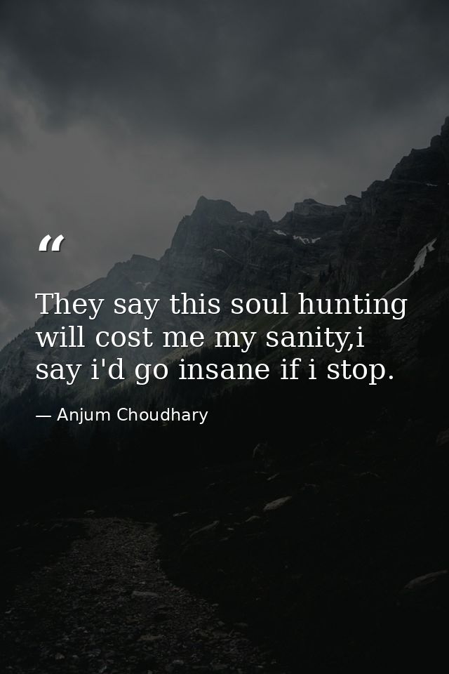 They say this soul hunting will cost me my sanity,i say i'd go insane if i stop. — Anjum Choudhary