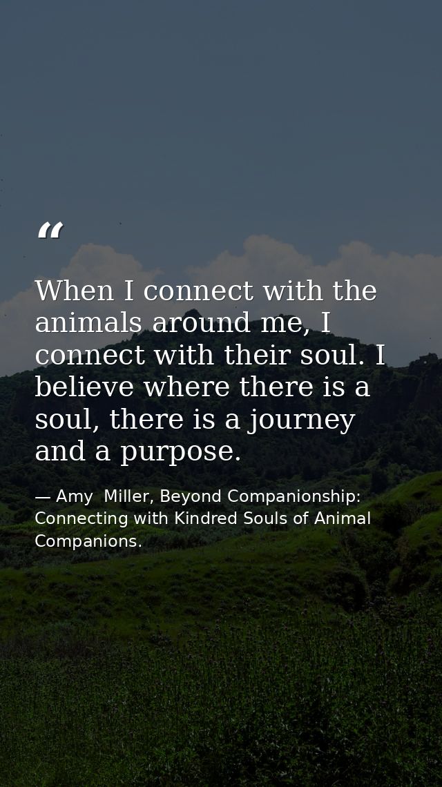 When I connect with the animals around me, I connect with their soul. I believe where there is a soul, there is a journe — Amy  Miller, Beyond Companionship: Connecting with Kindred Souls of Animal Companions.