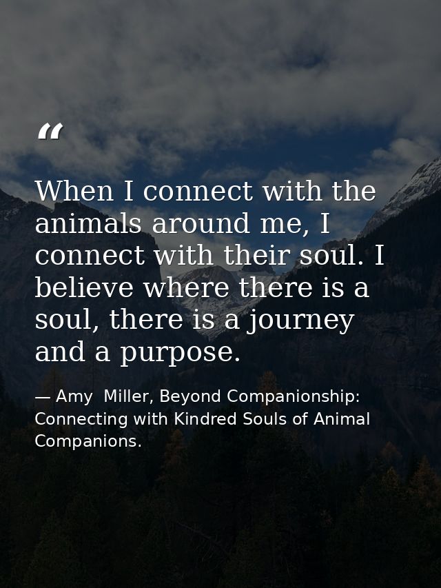 When I connect with the animals around me, I connect with their soul. I believe where there is a soul, there is a journe — Amy  Miller, Beyond Companionship: Connecting with Kindred Souls of Animal Companions.