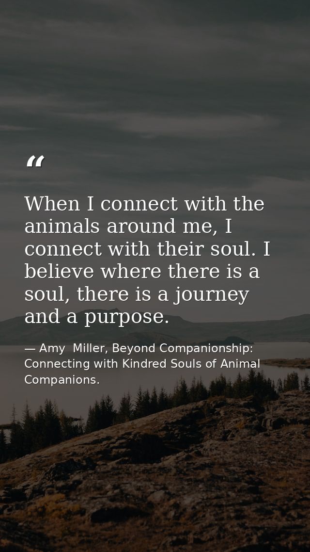 When I connect with the animals around me, I connect with their soul. I believe where there is a soul, there is a journe — Amy  Miller, Beyond Companionship: Connecting with Kindred Souls of Animal Companions.