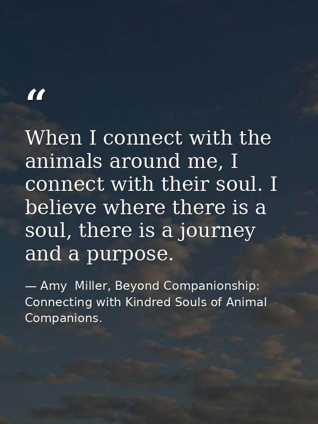 When I connect with the animals around me, I connect with their soul. I believe where there is a soul, there is a journe — Amy  Miller, Beyond Companionship: Connecting with Kindred Souls of Animal Companions.