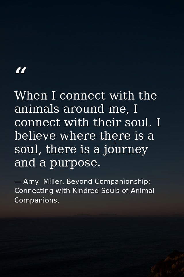 When I connect with the animals around me, I connect with their soul. I believe where there is a soul, there is a journe — Amy  Miller, Beyond Companionship: Connecting with Kindred Souls of Animal Companions.