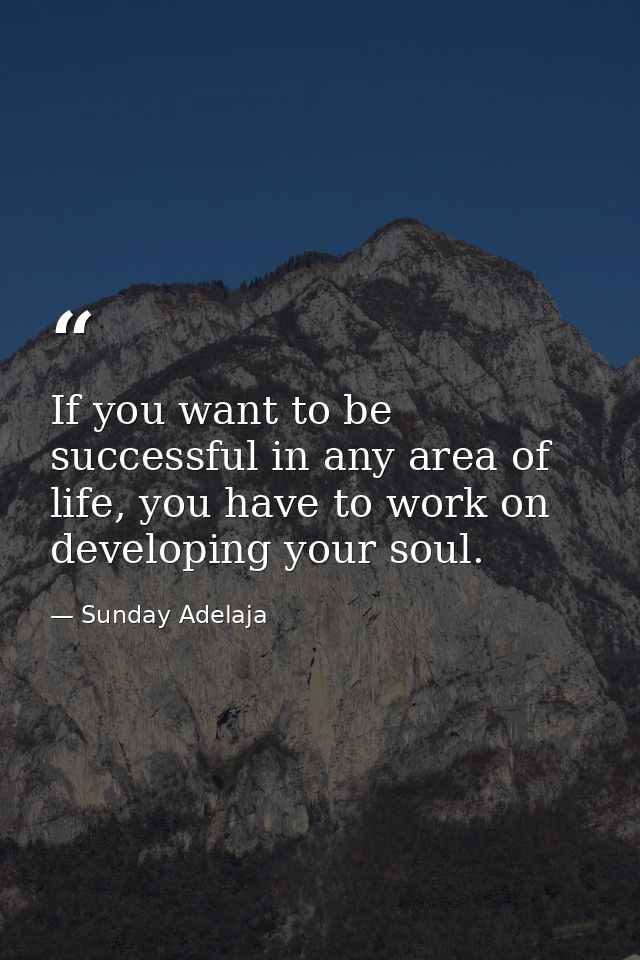 If you want to be successful in any area of life, you have to work on developing your soul. — Sunday Adelaja