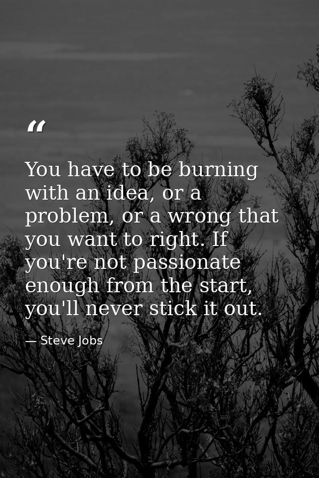 You have to be burning with an idea, or a problem, or a wrong that you want to right. If you're not passionate enough fr — Steve Jobs