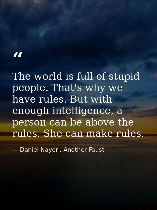 The world is full of stupid people. That's why we have rules. But with enough intelligence, a person can be above the ru — Daniel Nayeri, Another Faust