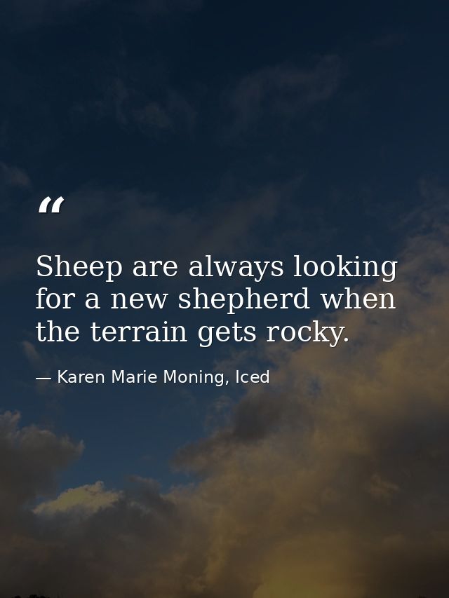 Sheep are always looking for a new shepherd when the terrain gets rocky. — Karen Marie Moning, Iced